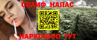 амф Заволжье