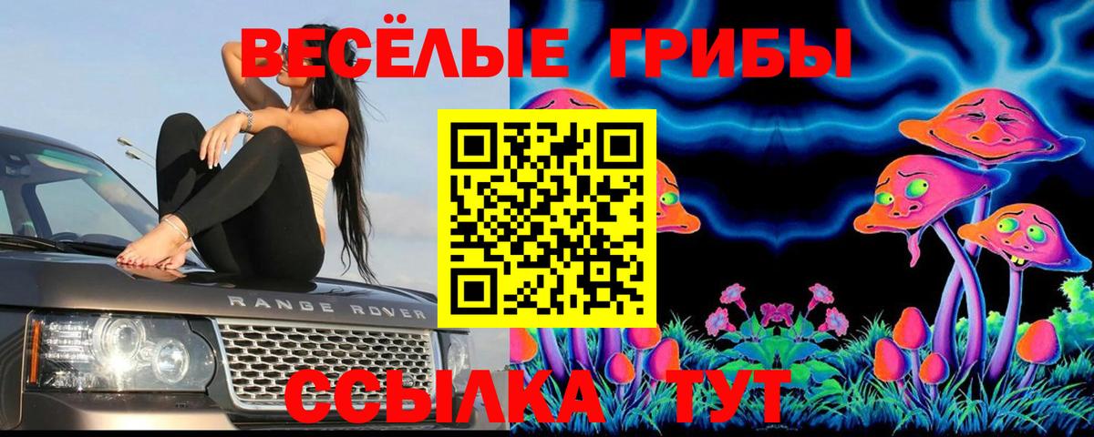Псилоцибиновые грибы Psilocybine cubensis Кызыл