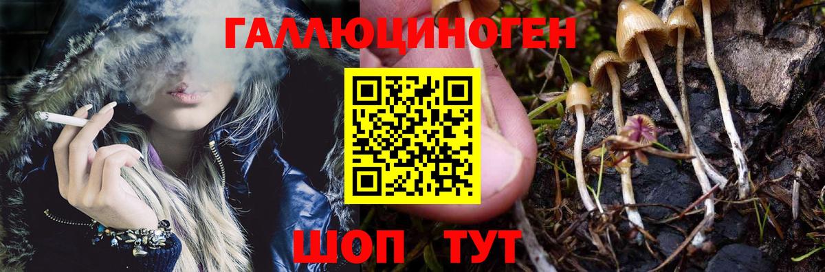 Псилоцибиновые грибы Magic Shrooms  Вход с VPN  Кызыл 